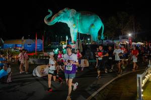 BIB: 
                            <button type="button" onclick="openModal(26552305)" class="btn btn-primary btn-sm float-right btn-popup" data-toggle="modal" data-target=".modal-high-quality">
                        <i class="fas fa-shopping-cart"></i> Add to Cart
                    </button>
                                            <button type="button" onclick="isThisMe(26552305, true)" class="btn btn-success btn-sm float-right btn-popup btn-isme hidden" data-toggle="tooltip" data-placement="bottom" title="นี่คือรูปของคุณใช่ไหม คลิกที่นี่เพื่อเอาเข้าอัลบั้ม">
                        <i class="fas fa-plus"></i> Add to album
                    </button>
                    <button type="button" onclick="isThisMe(26552305, false)" class="btn btn-warning btn-sm float-right btn-popup btn-isnotme hidden">
                        <i class="fas fa-ban"></i> Remove from album
                    </button>